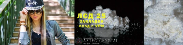 стафф Арсеньев