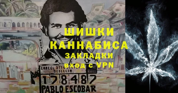 стафф Арсеньев
