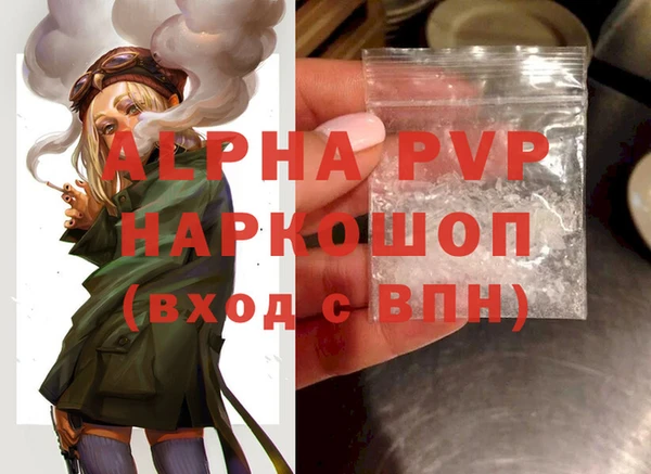 стафф Арсеньев