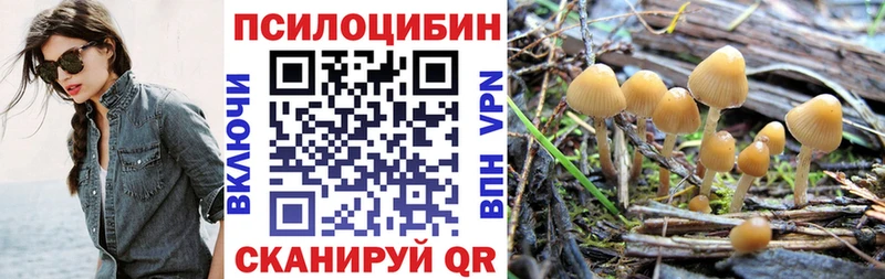 hydra сайт  наркота  Камбарка  дарк нет наркотические препараты  Псилоцибиновые грибы мухоморы 
