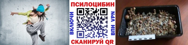 Галлюциногенные грибы MAGIC MUSHROOMS Камбарка