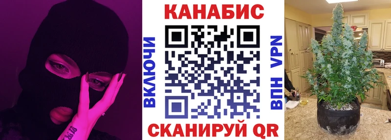 где купить наркоту  Камбарка  Бошки марихуана конопля 